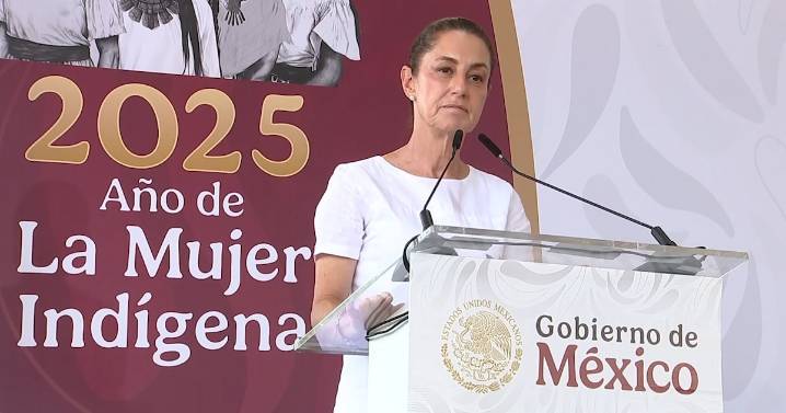 Este año nos ha ido bien y el próximo nos irá todavía mejor: Sheinbaum