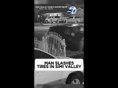 Man arrested for allegedly slashing tires of nearly a dozen cars