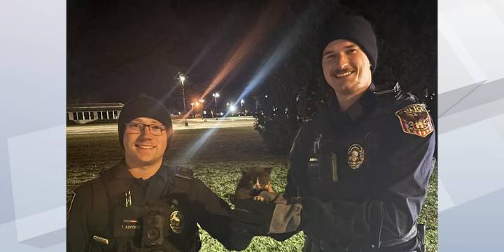 Neenah officers rescue kitten from sewer
