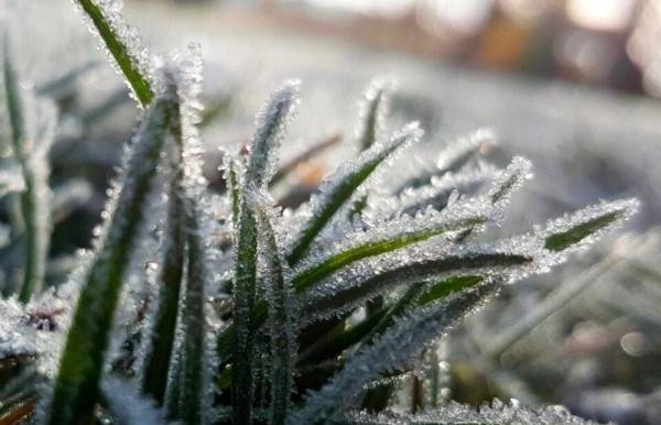 Registra San Juanito temperatura de menos 4.2 grados