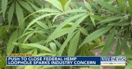 North Carolina hemp industry faces upheaval as Senate bill threatens major THC product ban :: WRAL.com