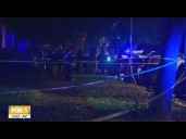 16 year-old shot and killed in Brooklyn, Last day of early voting