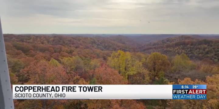 One last glimpse of fall from Copperhead Fire Tower