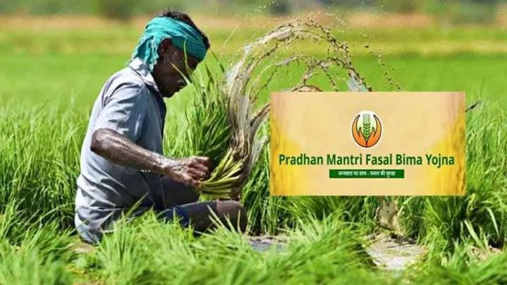 Pune: Farmers Urged To Enroll In Pradhan Mantri Crop Insurance Scheme For Rabi 2025