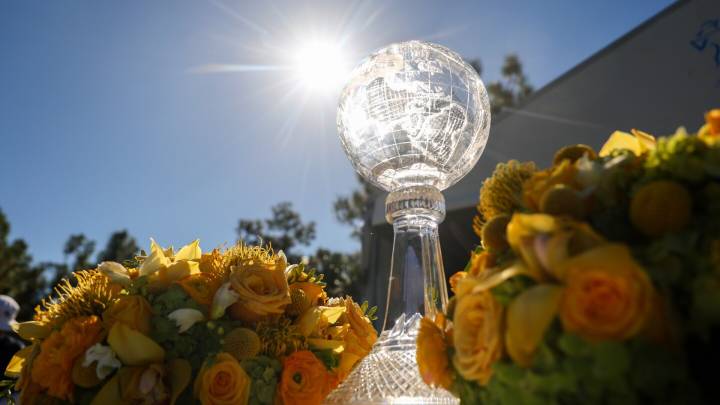 CME Group Tour Championship 2025 prize money: Full payout from $11 million purse