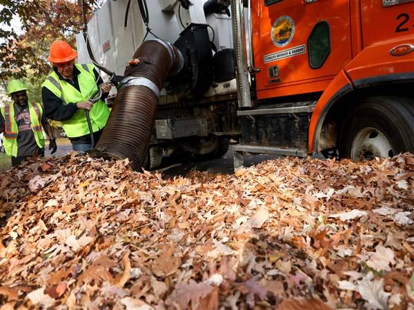 Toledo continues leaf collection efforts