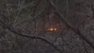 Wildfires spread in East Tennessee with fire season in full swing