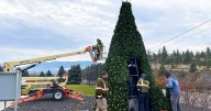 "Light Up Liberty Lake" tree ready for Nov. 29 event