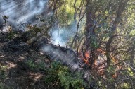 En 48 horas, seis focos de incendio en el cerro Otto, cerca de las viviendas al oeste de Bariloche