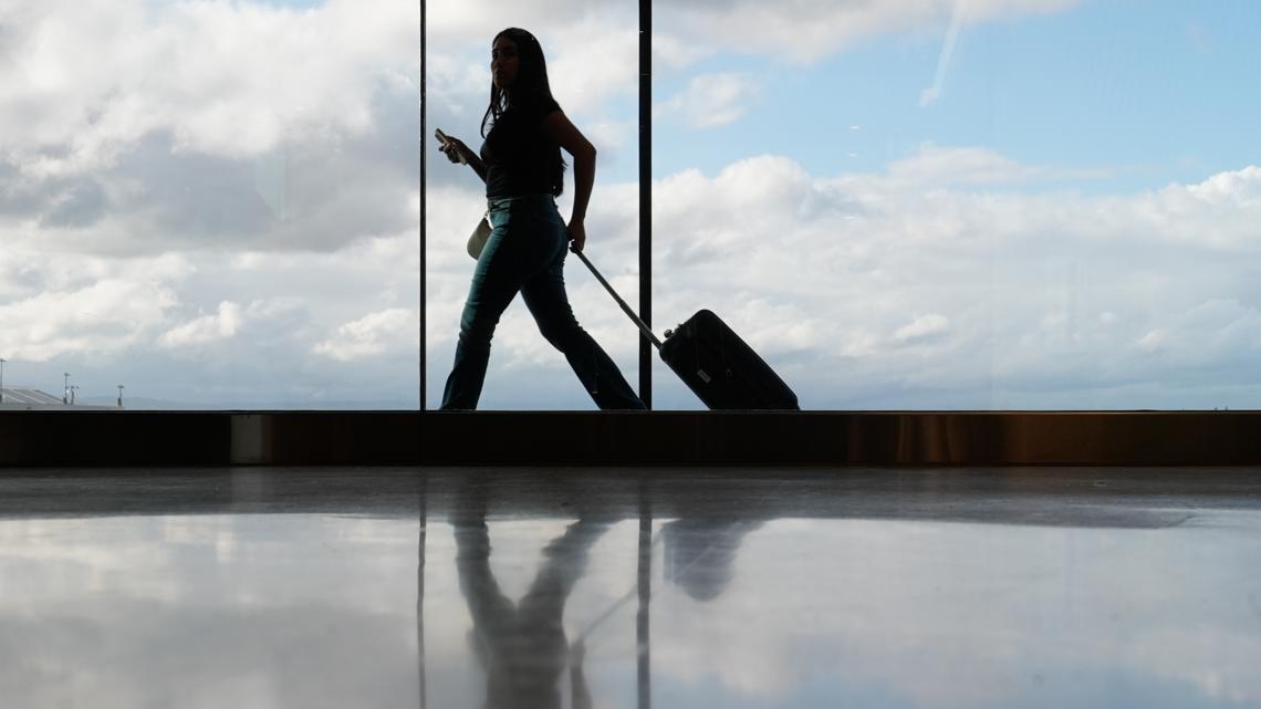 It could take months for air travel to return to normal, air traffic controllers union says