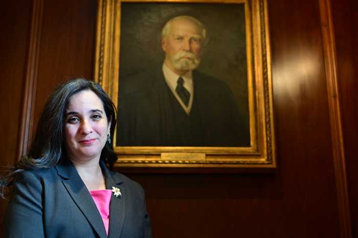 Brooklyn Bar Association’s first LGBT president brings her personal style to leadership