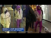 New video shows suspect in  Loop shooting that killed 14