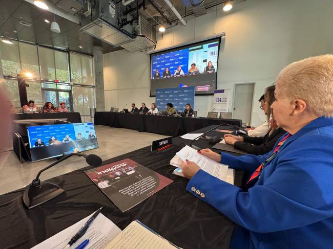 Participa México en la audiencia pública de la CIDH “Derecho a la Libre Determinación de los Pueblos Indígenas y Afromexicanos en México”.