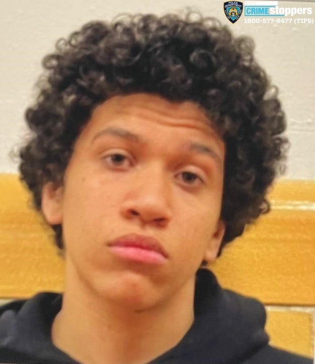 Teen disappears from Bronx home as search launched