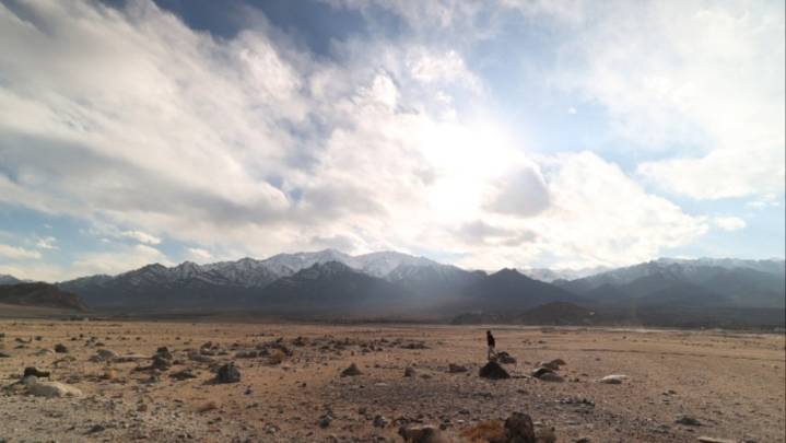 'Wolf Dog' French Producers Board WAVES Film Bazaar Project 'Idiot'