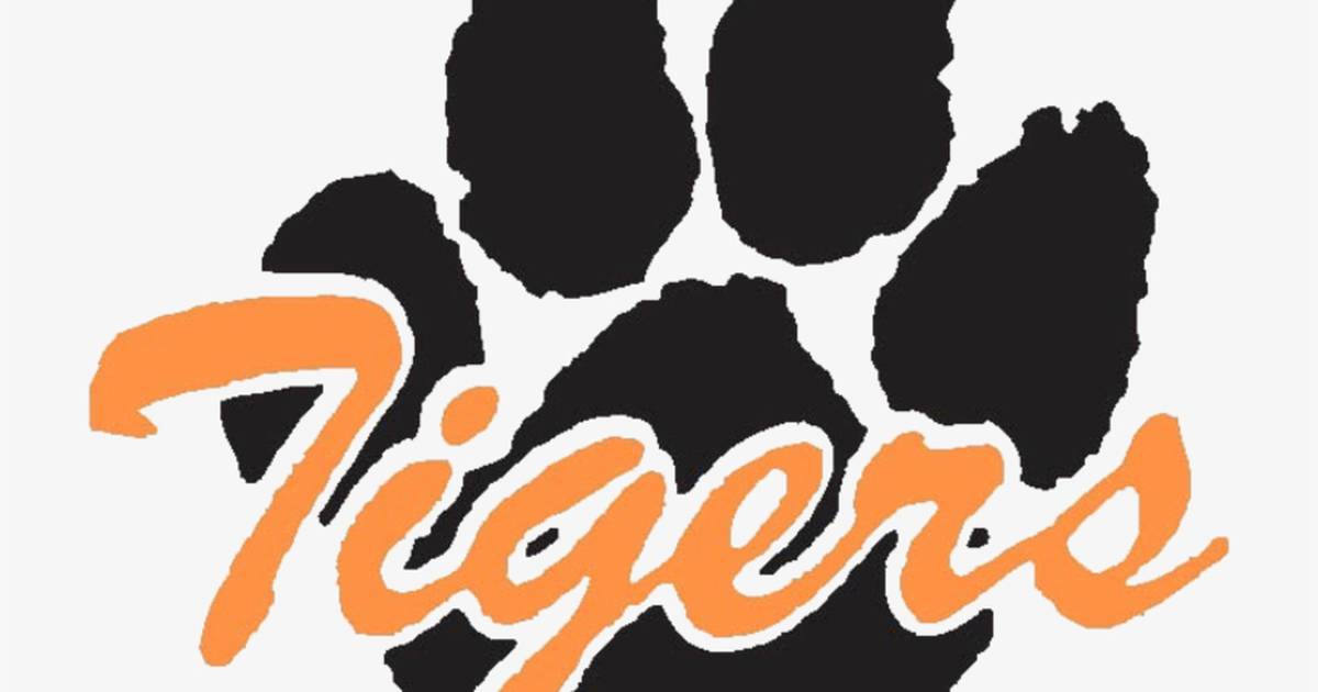 New-look Rolling Meadows boys basketball shakes off strong challenge from Wheaton Warrenville South – Shaw Local