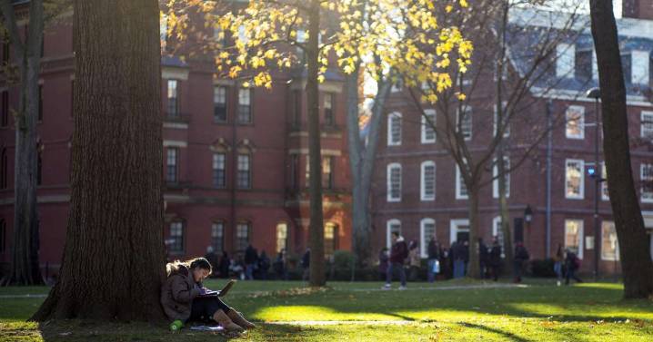 Investigan una explosión intencional sin heridos en la Universidad de Harvard