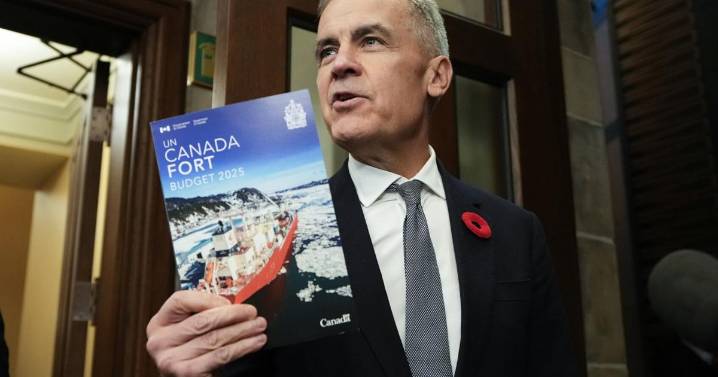 Affordability gap leaves Liberal budget with middling reviews: Leger poll