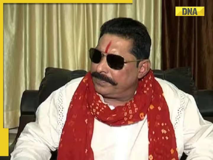 Bihar Election 2025: 32% of phase one candidates have criminal records, says ADR