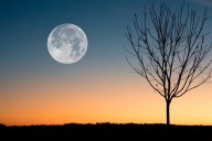 Get Ready For Wyoming’s Stunning Cold Moon Supermoon