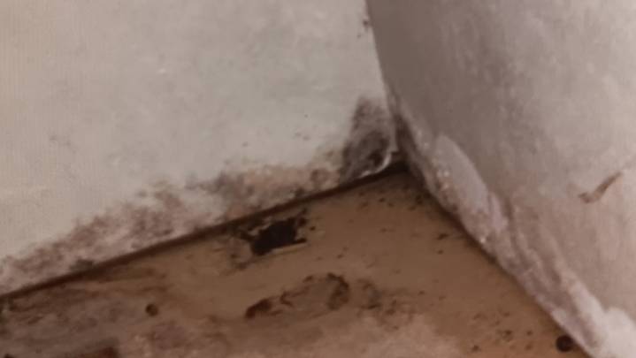 Family finds filth and unexpected dangers at rental house
