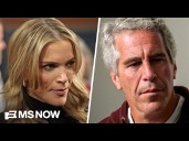 Megyn Kelly dragged for comment saying Epstein was into 'barely legal