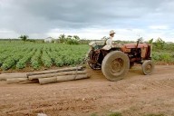 Profepa intensifica vigilancia sobre comunidades menonitas por riesgo a la Laguna de Bacalar