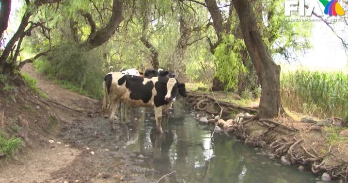 Promesas incumplidas: Desechos tóxicos afectan la salud de los habitantes de Tula, Hidalgo