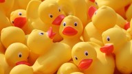 Muere el 'Padre' del Patito Amarillo de Hule a los 105 Años, en Hong Kong