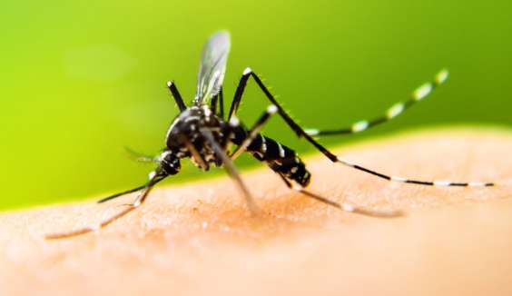 Denton County reports third West Nile Virus case