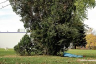 US states sue to block Trump administration from restricting homelessness funding