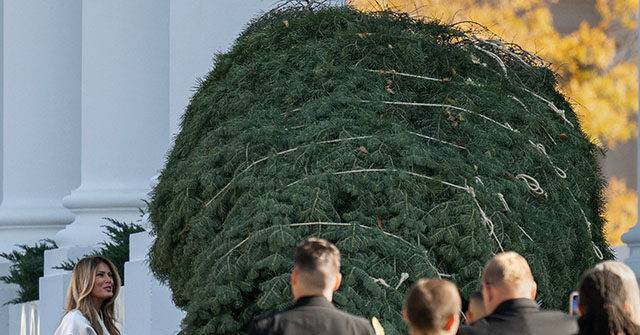 First Lady Melania Trump Welcomes White House Christmas Tree