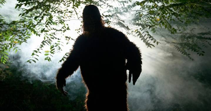 Bigfoot hunters closing in on solving mystery and insist mythical beast 'exists'