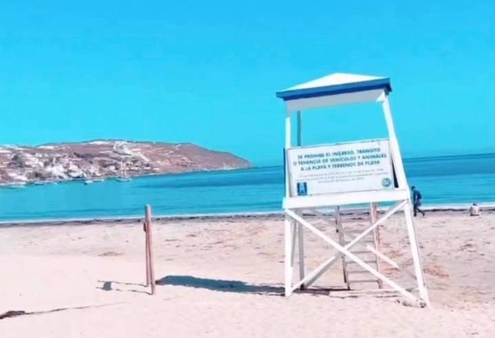 Exigen aclarar ofrecimientos de arriendos de espacios para Foodtrucks en Coquimbo