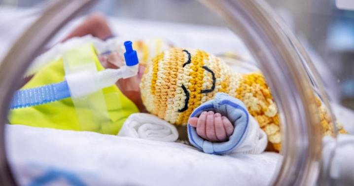 Hospital crochets octopuses to comfort premature patients