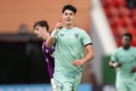 Los cachorros enseñan el camino