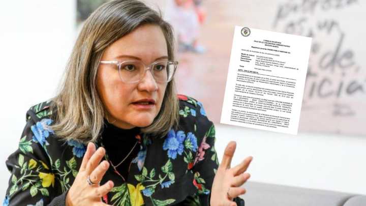 En la recta final del proceso de nulidad, Consejo de Estado pide al Mineducación certificación de título extranjero de Cielo Rusinque