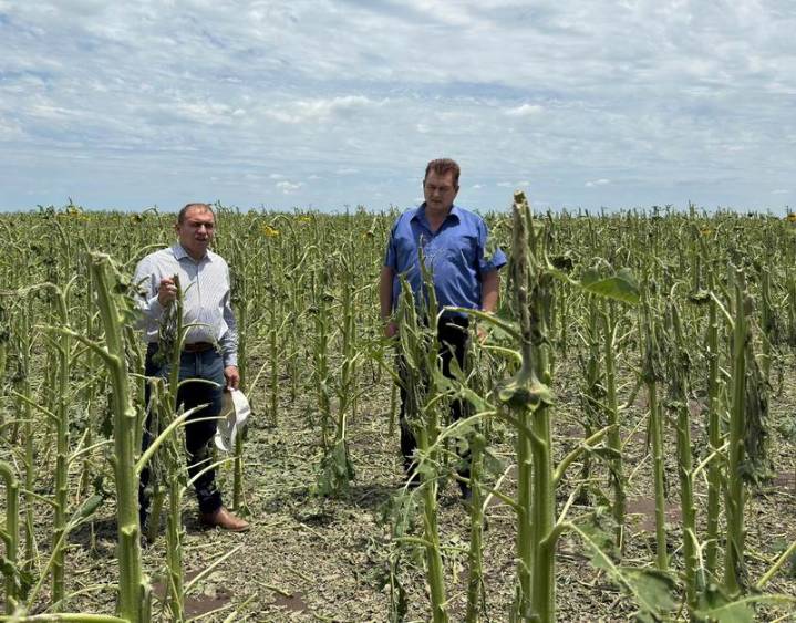 Producción relevó daños del temporal en Hermoso Campo