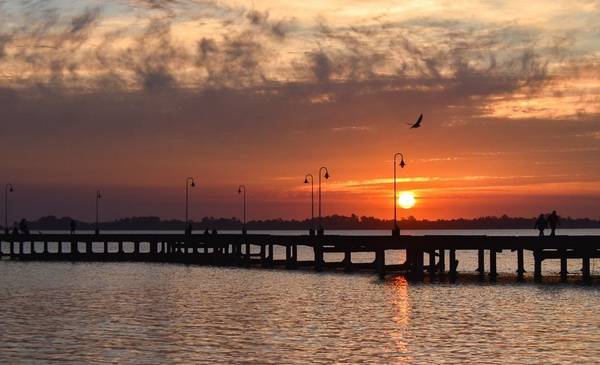 La escapada gasolera a cuatro horas de CABA: se puede hacer en tren por menos de $ 2000