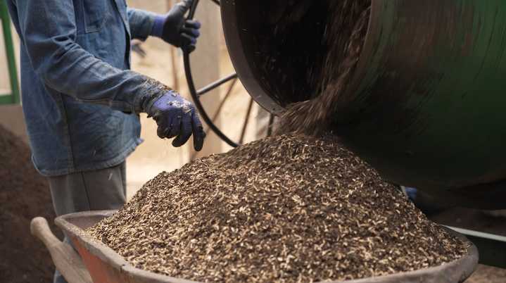 Agroempresarios en Antioquia lideran la agricultura regenerativa