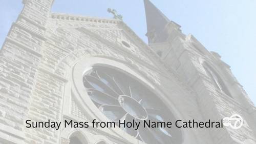 Archdiocese of Chicago holds Sunday Mass at Holy Name Cathedral: LIVE
