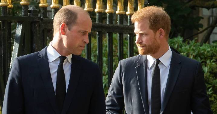 Prince Harry 'stokes William war with revenge move that's left friends furious'