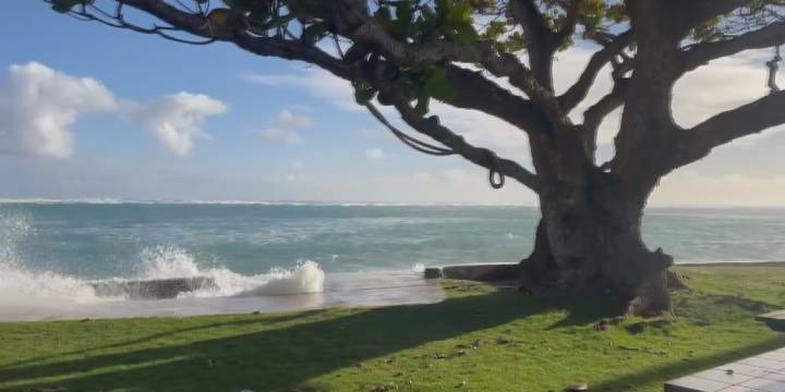 ‘It’s a disaster’: High surf chips away at coastlines, worrying oceanfront residents