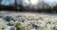 Met Office latest on Greater Manchester weather as 'frosty' conditions expected