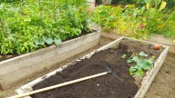 Should You Cover Raised Beds In Winter? Here's What All Gardeners Need To Know