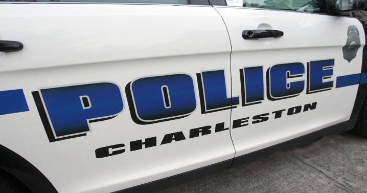 Pedestrian killed by car on Ashley River Road