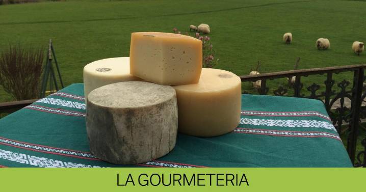 El método tradicional para hacer queso natural en casa: solo necesitas dos ingredientes