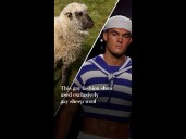 This gay fashion show used exclusively gay sheep wool