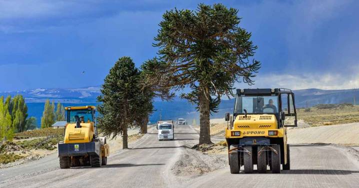 Ruta 23: Avanza la obra que esquiva a las araucarias para protegerlas