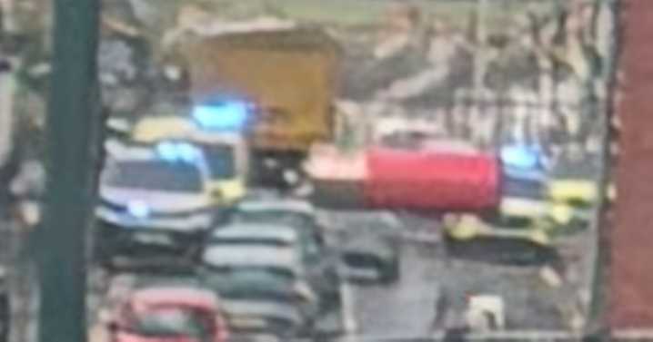 OAP seriously injured in 'large dog attack' as fleet of 999 crews descend on Loftus street